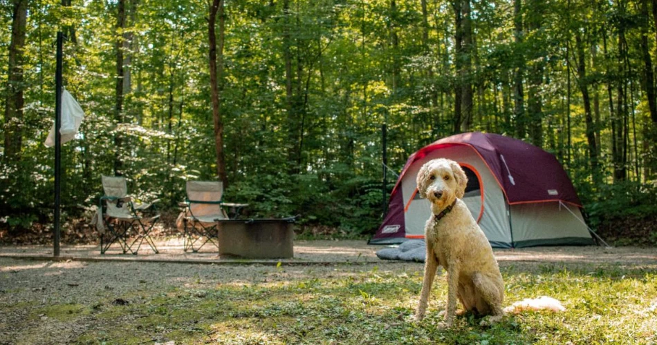 Kentucky RV Parks: 20 Places to Plug In and Break Down